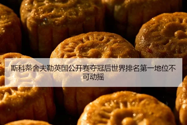 si-ke-di-she-fu-lei-ying-guo-gong-kai-sai-duo-guan-hou-shi-jie-pai-ming-di-yi-di-wei-bu-ke-dong-yao-2-206.jpg