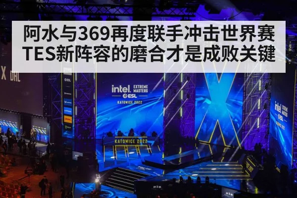 阿水与369再度联手冲击世界赛 TES新阵容的磨合才是成败关键